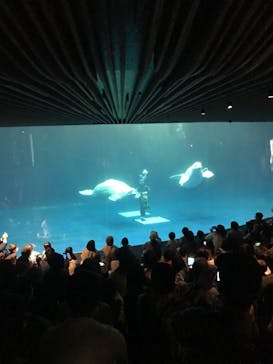 島根県立 しまね海洋館に投稿された画像（2021/5/3）