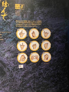 小田原城に投稿された画像（2021/5/3）