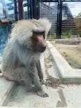 東武動物公園に投稿された画像（2021/5/3）