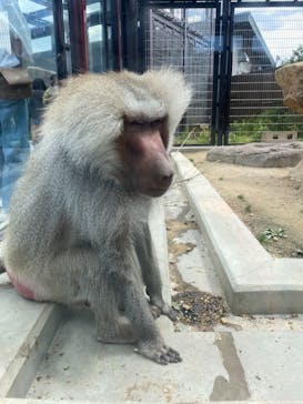 東武動物公園に投稿された画像（2021/5/3）