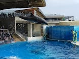 新江ノ島水族館に投稿された画像（2021/5/3）