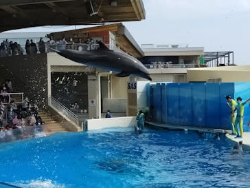 新江ノ島水族館に投稿された画像（2021/5/3）