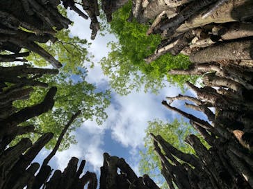 モビリティリゾートもてぎに投稿された画像（2021/5/3）