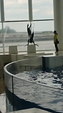 アクアワールド茨城県大洗水族館に投稿された画像（2021/5/3）