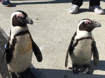 横浜・八景島シーパラダイスに投稿された画像（2021/5/3）