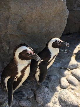 横浜・八景島シーパラダイスに投稿された画像（2021/5/3）