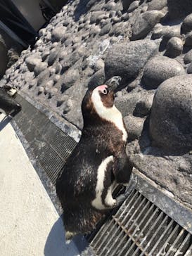 横浜・八景島シーパラダイスに投稿された画像（2021/5/3）