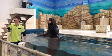 鳥羽水族館に投稿された画像（2021/5/3）