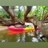 西表島 ADVENTURE PiPi（アドベンチャーピピ）に投稿された画像（2021/5/3）