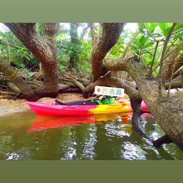 西表島 ADVENTURE PiPi（アドベンチャーピピ）に投稿された画像（2021/5/3）