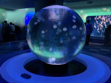 新江ノ島水族館に投稿された画像（2021/5/3）