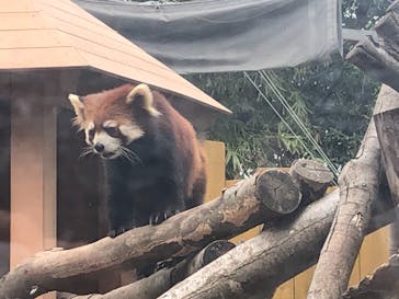 横浜・八景島シーパラダイスに投稿された画像（2021/5/3）