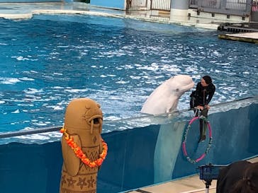 横浜・八景島シーパラダイスに投稿された画像（2021/5/3）