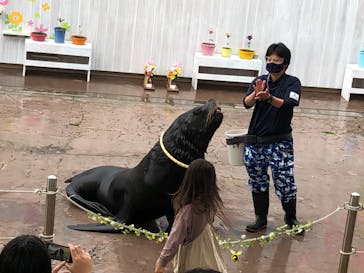 横浜・八景島シーパラダイスに投稿された画像（2021/5/3）