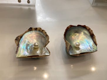 九十九島水族館海きららに投稿された画像（2021/5/3）