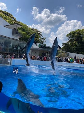 九十九島水族館海きららに投稿された画像（2021/5/3）