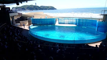 新江ノ島水族館に投稿された画像（2021/5/3）
