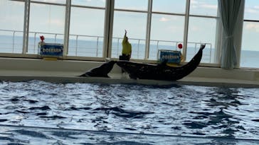 アクアワールド茨城県大洗水族館に投稿された画像（2021/5/3）