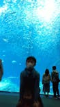 アクアワールド茨城県大洗水族館に投稿された画像（2021/5/3）