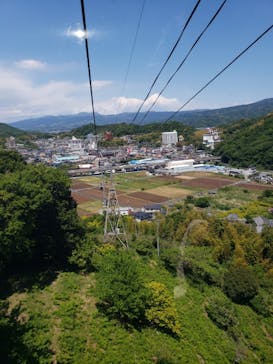 伊豆パノラマパークに投稿された画像（2021/5/3）