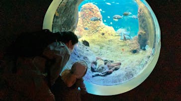 新江ノ島水族館に投稿された画像（2021/5/3）
