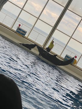 アクアワールド茨城県大洗水族館に投稿された画像（2021/5/3）