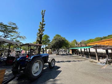 まかいの牧場に投稿された画像（2021/5/3）