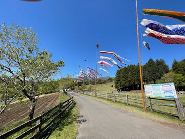 まかいの牧場に投稿された画像（2021/5/3）