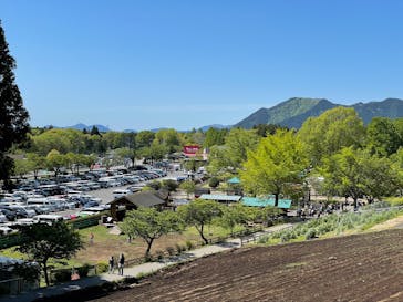 まかいの牧場に投稿された画像（2021/5/3）