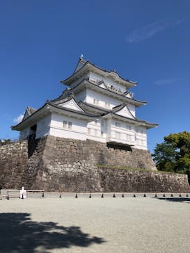 小田原城に投稿された画像（2021/5/3）