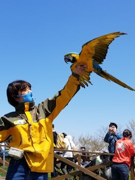 那須どうぶつ王国に投稿された画像（2021/5/3）