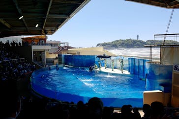 湘南モノレール大船駅に投稿された画像（2021/5/3）