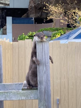 横浜・八景島シーパラダイスに投稿された画像（2021/5/3）