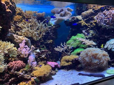 マリンワールド海の中道に投稿された画像（2021/5/3）