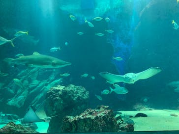 マリンワールド海の中道に投稿された画像（2021/5/3）