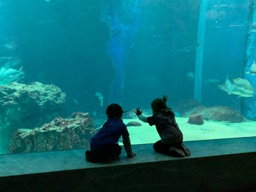 マリンワールド海の中道に投稿された画像（2021/5/3）