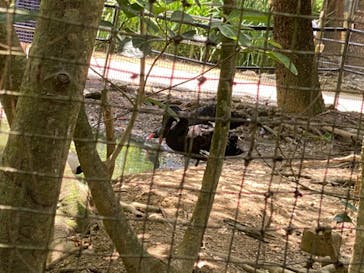 ネオパークオキナワに投稿された画像（2021/5/4）