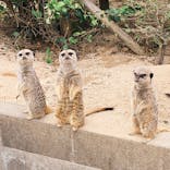 東武動物公園に投稿された画像（2021/5/4）