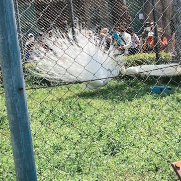 東武動物公園に投稿された画像（2021/5/4）