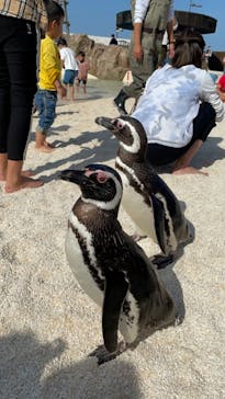 大分マリーンパレス水族館 「うみたまご」に投稿された画像（2021/5/4）