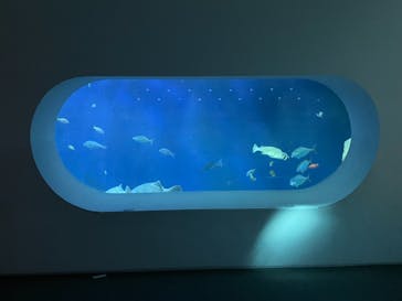 大分マリーンパレス水族館 「うみたまご」に投稿された画像（2021/5/4）