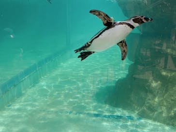 アクアワールド茨城県大洗水族館に投稿された画像（2021/5/4）