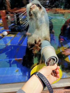 ゼロ距離水族館 伊勢シーパラダイスに投稿された画像（2021/5/4）