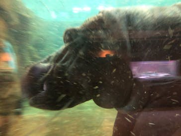 旭川市旭山動物園に投稿された画像（2021/5/4）