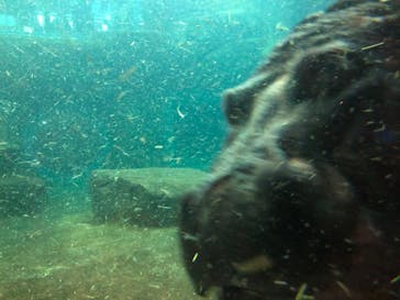 旭川市旭山動物園に投稿された画像（2021/5/4）