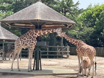 東武動物公園に投稿された画像（2021/5/4）