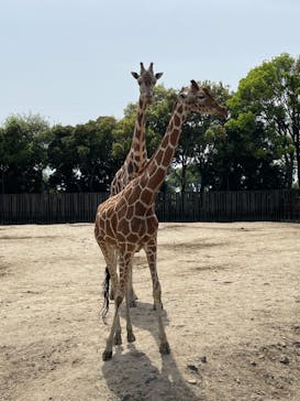 東武動物公園に投稿された画像（2021/5/4）