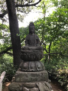 三溪園に投稿された画像（2021/5/4）