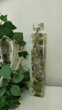 ずこうしつ〜sugamo〜に投稿された画像（2021/5/4）