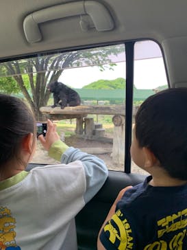 群馬サファリパークに投稿された画像（2021/5/4）